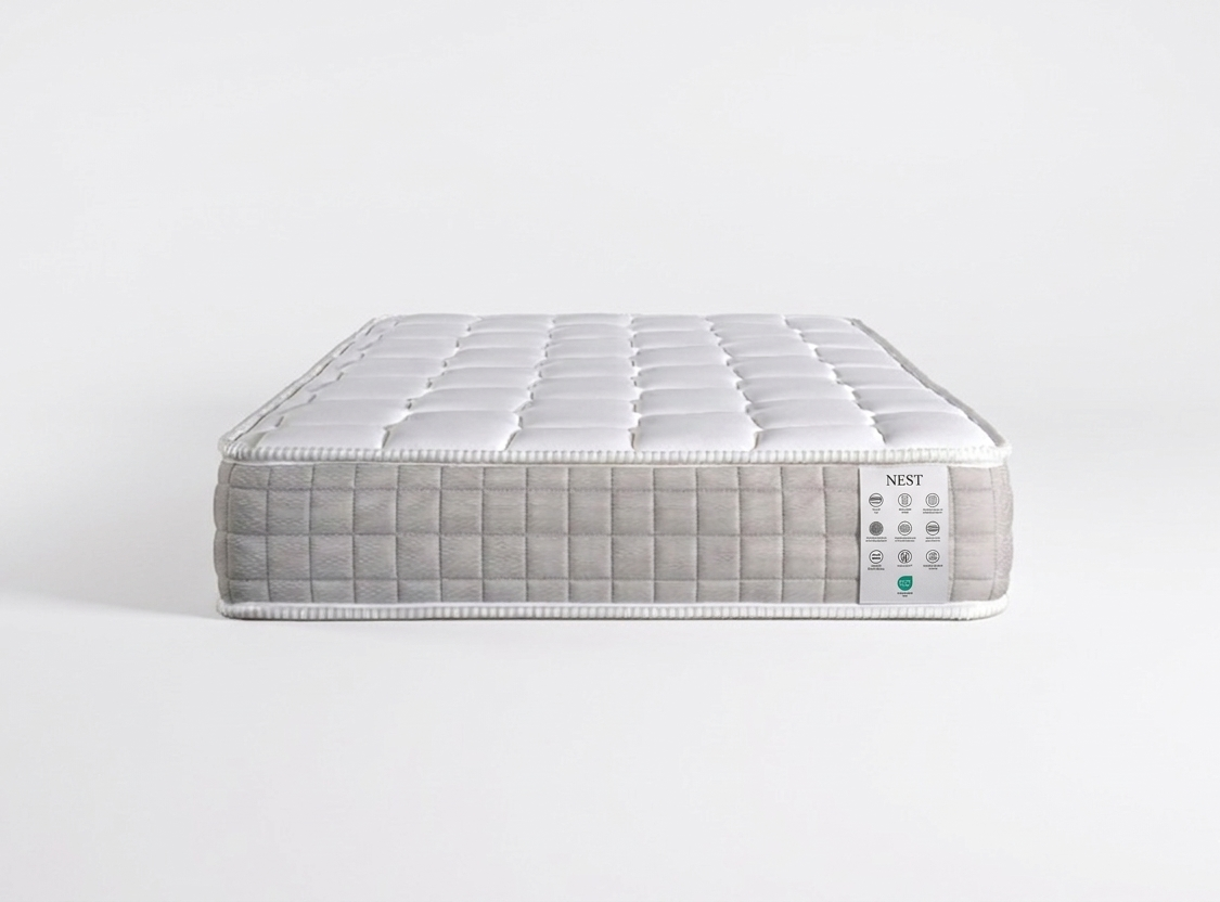 NEST - Image 2